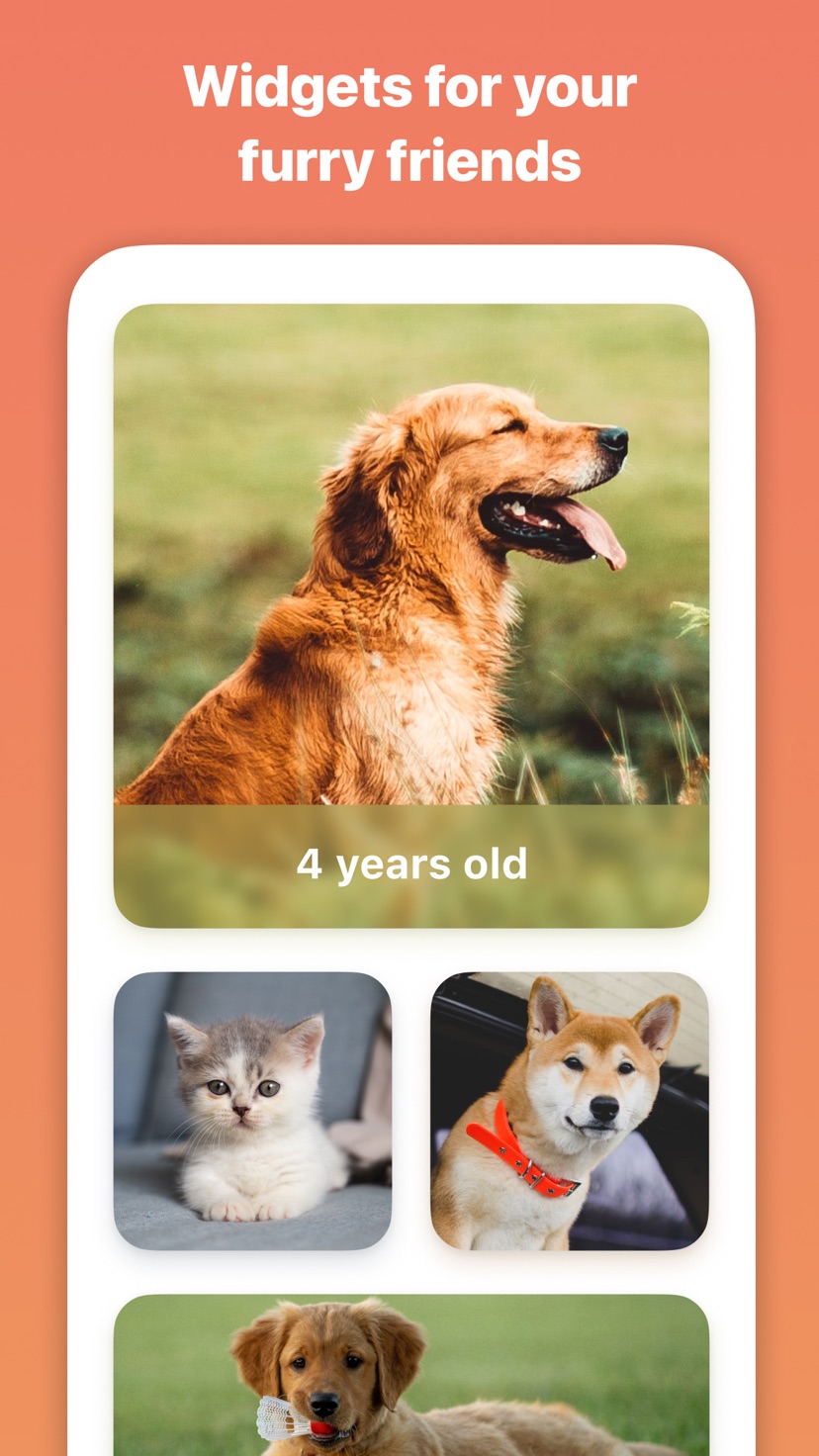 Kidgets pet widgets for dogs and cats on iPhone