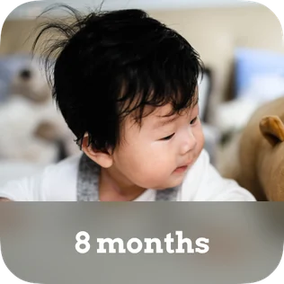 Kidgets baby age widget showing 8 months over a baby photo