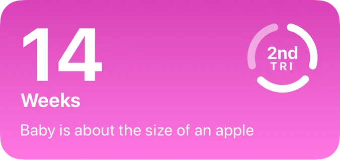 Kidgets medium pregnancy widget showing 14 weeks, the second trimester, and baby size