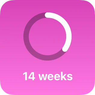 Kidgets small pregnancy widget showing 14 weeks